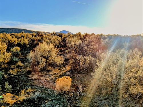 Freedom and Space to Breathe : Elko : Nevada
