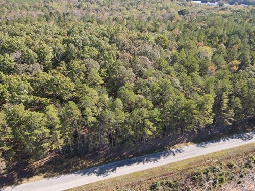 1 Acre Lot in Randolph County : Lineville : Randolph County : Alabama