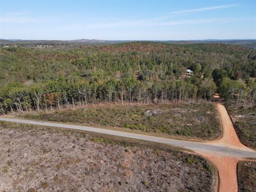 1.8 Ac in Clay County, AL : Lineville : Clay County : Alabama