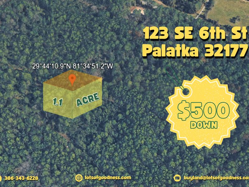 123 SE 6th St on Unmaintained Grass : Palatka : Putnam County : Florida