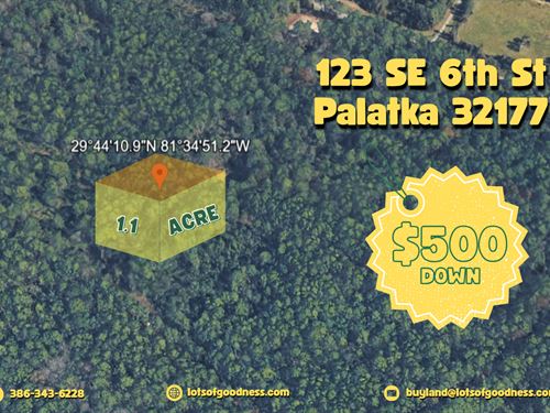 123 SE 6th St on Unmaintained Grass : Palatka : Putnam County : Florida
