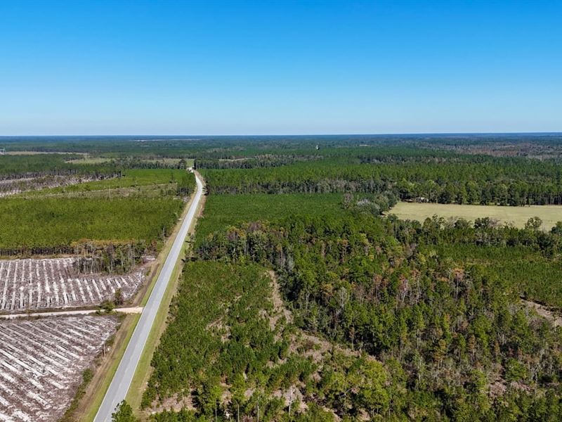 River Road Retreat : Folkston : Charlton County : Georgia