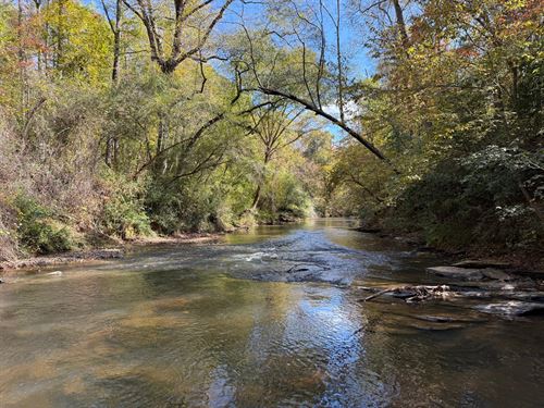 Crooked Creek Tract 40 Acr : Cragford : Clay County : Alabama