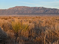 Affordable Land with Easy Terms : Belen : Valencia County : New Mexico