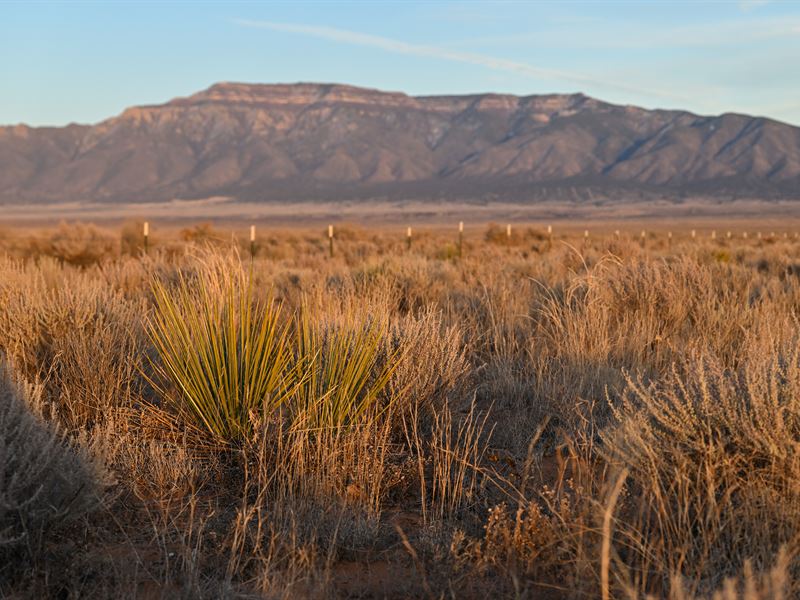 Affordable Land with Easy Terms : Belen : Valencia County : New Mexico
