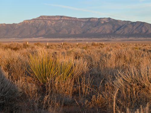Affordable Land with Easy Terms : Belen : Valencia County : New Mexico
