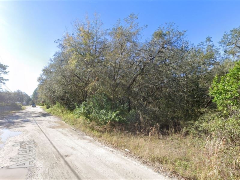 Mobile Homes Lots : New Port Richey : Pasco County : Florida