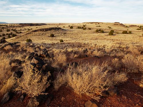 Arizona Land Easy $85 Monthly Plan : Sun Valley : Navajo County : Arizona