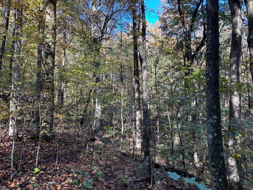 24 Acres Talking Rock, GA : Talking Rock : Pickens County : Georgia