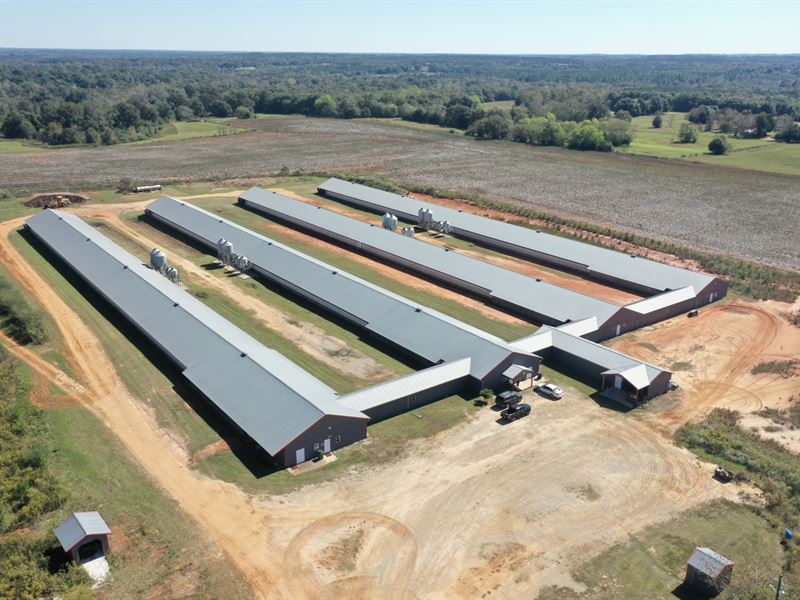 Seldom Rest Farm : Columbia : Henry County : Alabama