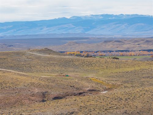 365 Cattle : Riverton : Fremont County : Wyoming