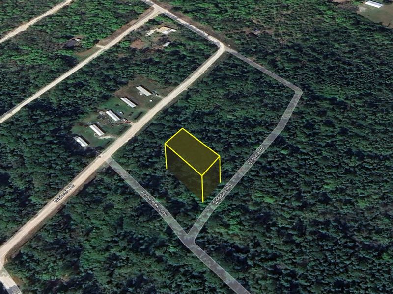 Your Land, Your Way $199 Down : Satsuma : Putnam County : Florida