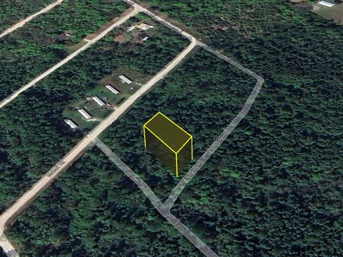 Your Land, Your Way $199 Down : Satsuma : Putnam County : Florida