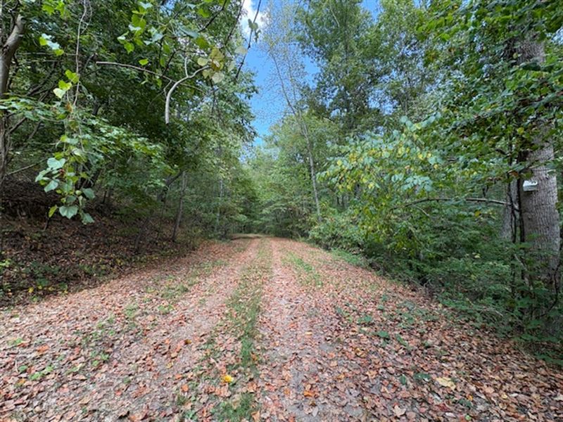 Gaylesville Hwy 35 Tract : Gaylesville : Cherokee County : Alabama