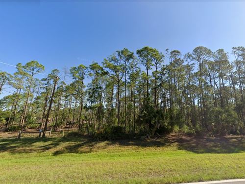 Prime North Port Land at $199 Down : North Port : Sarasota County : Florida