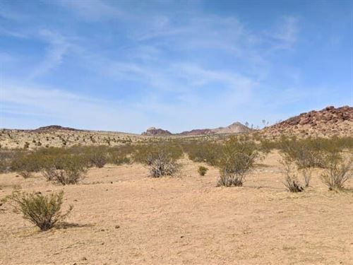 Kick Up Some Dust : Dolan Springs : Mohave County : Arizona