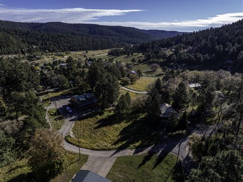 Treed Lot, Power & Water Service : Cloudcroft : Otero County : New Mexico