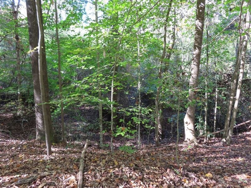 Fork Tract : Kershaw : Lancaster County : South Carolina