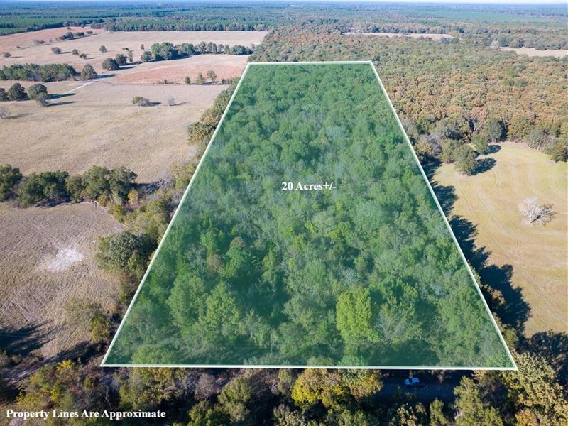 20 Acres, County Road 2110 : Clarksville : Red River County : Texas