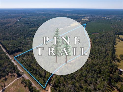 3 Acres, T-3, Eldridge Road, Pin : Cleveland : San Jacinto County : Texas
