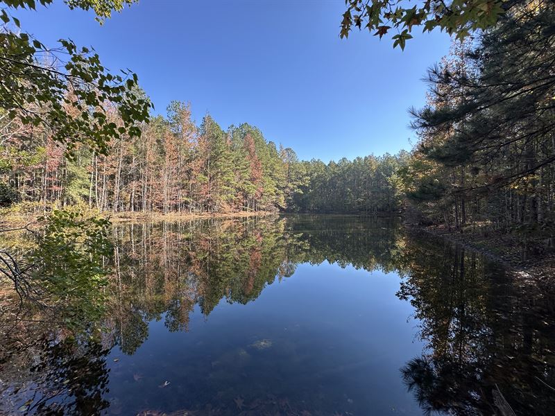 County Road 631 Tract, 29 Acres : Quitman : Clarke County : Mississippi