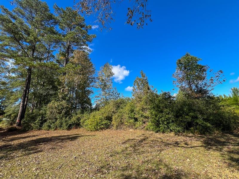 20 Acres, T-2, FM 787, 285012 : Votaw : Hardin County : Texas