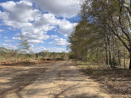 Edwards Road Farms : Vienna : Dooly County : Georgia