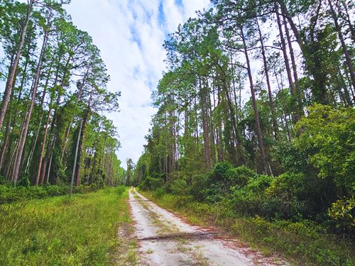 Lote FL $14.3 Mil : Georgetown : Putnam County : Florida