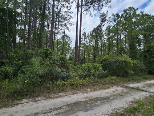 Lote FL $14.3 Mil : Georgetown : Putnam County : Florida