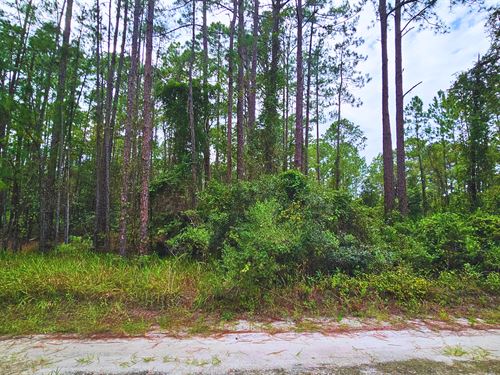 Sea Dueno DE un Terreno en Florida : Georgetown : Putnam County : Florida