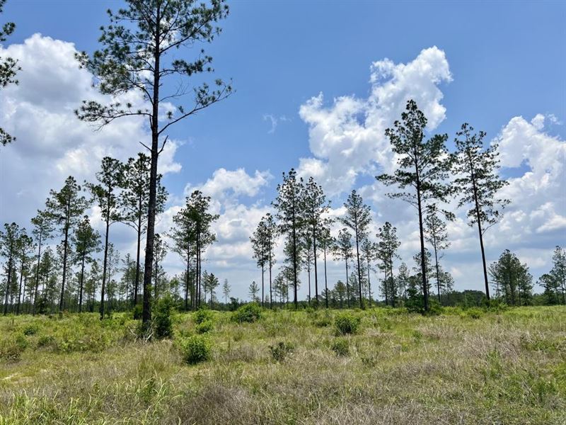 Baldwin Cr-64 Interstate-10 : Robertsdale : Baldwin County : Alabama