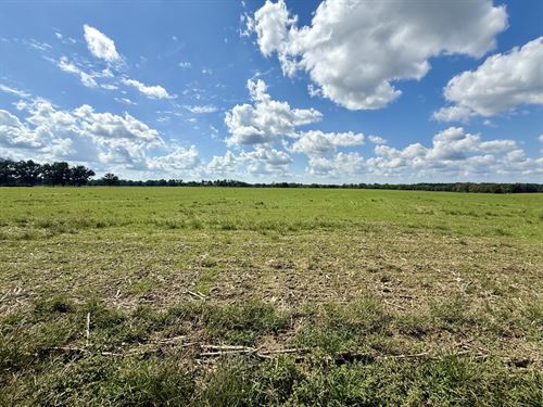 Baldwin Beach Express Farm : Robertsdale : Baldwin County : Alabama