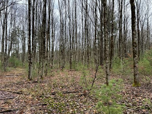 Ideal Home or Cabin Spot : Vienna : Oneida County : New York