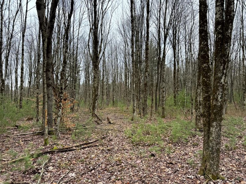 Minutes From Oneida Lake Fun : Vienna : Oneida County : New York