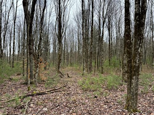Minutes From Oneida Lake Fun : Vienna : Oneida County : New York