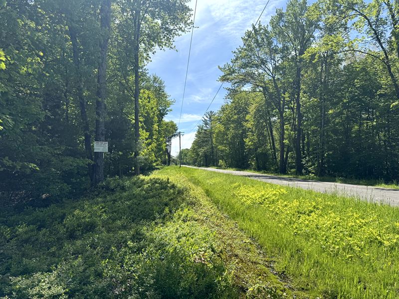 Oneida Lake Getaway Building Lot : Vienna : Oneida County : New York