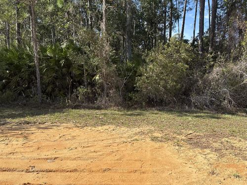 .22 Acres in Interlachen Lakes : Interlachen : Putnam County : Florida