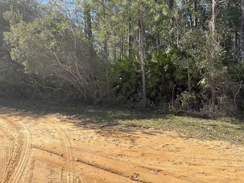 .22 Acres in Interlachen Lakes : Interlachen : Putnam County : Florida