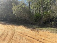 .22 Acres in Interlachen, Florida : Interlachen : Putnam County : Florida