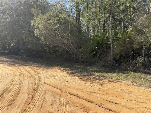 .22 Acres in Interlachen, Florida : Interlachen : Putnam County : Florida