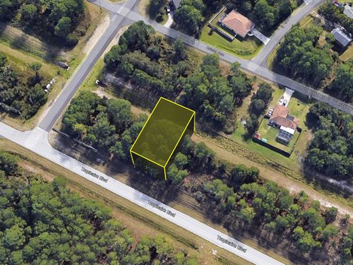Grab North Port Gem, $199 Down : North Port : Sarasota County : Florida