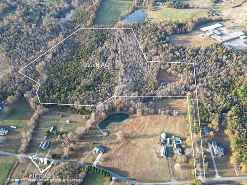 32 Acre Wooded Homesite, Campobello : Campobello : Spartanburg County : South Carolina
