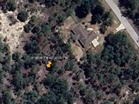 $99 Down Spring Land Deal : Dunnellon : Marion County : Florida