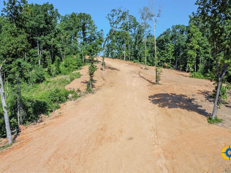 Waverly Tract : Waverly : Humphreys County : Tennessee