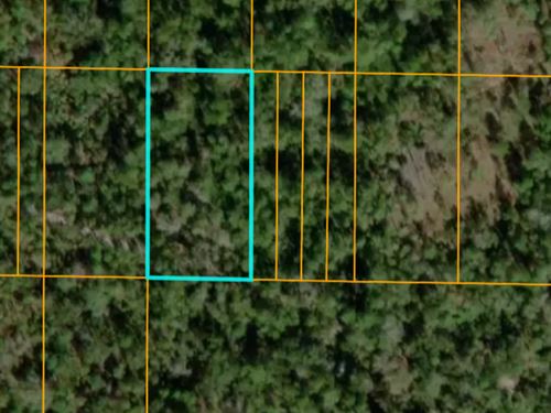 Year-Round Fun with This Lot : Frostproof : Polk County : Florida