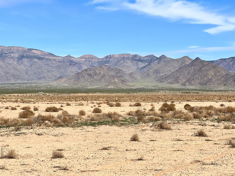 Enjoy The Sunshine : Kingman : Mohave County : Arizona
