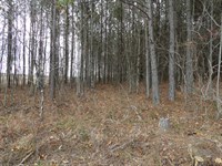 Level, Paved Road Frontage : Evansville : Bledsoe County : Tennessee