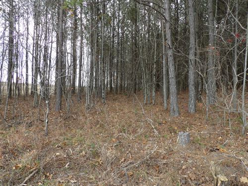 Level, Paved Road Frontage : Evansville : Bledsoe County : Tennessee