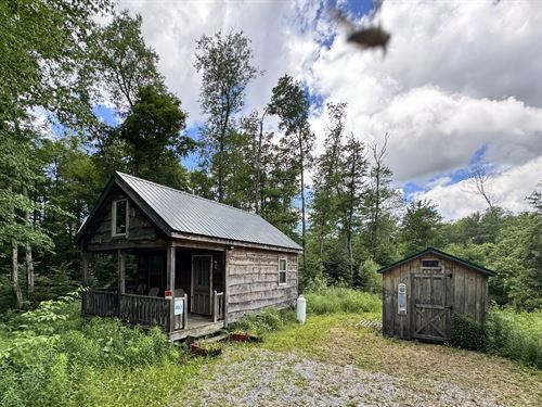 Camp Whitetail : Lewis : New York