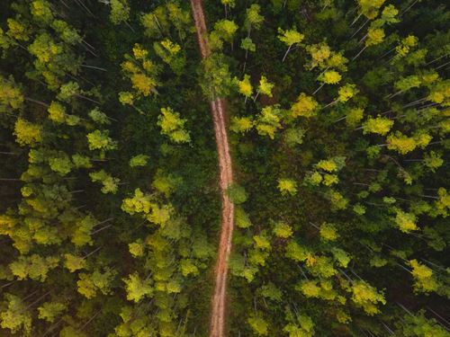 160 Acres in Jefferson Davis County : Columbia : Jefferson Davis County : Mississippi